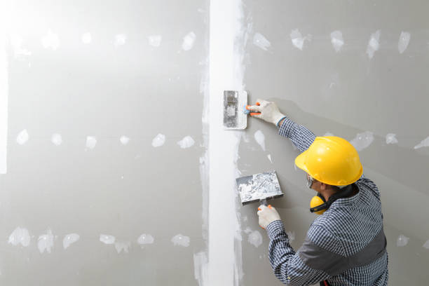 Best Crawl Space Mold Remediation  in Indian Hills, NM